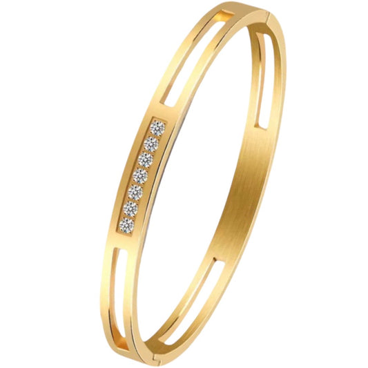 Stålarmband med 18K förgyllning och CZ 6MM