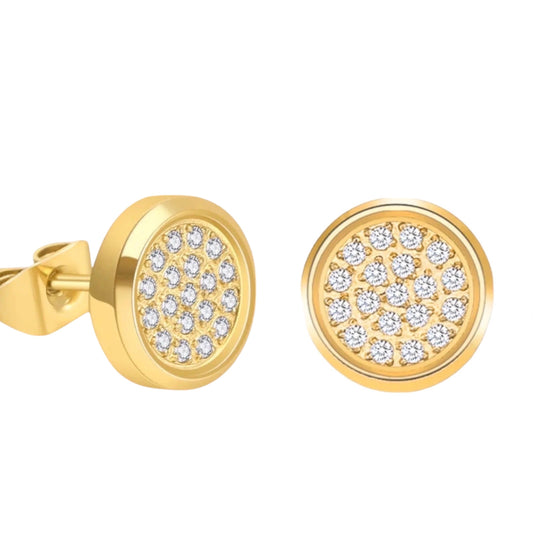 Stålörhängen med 18K förgyllning och CZ