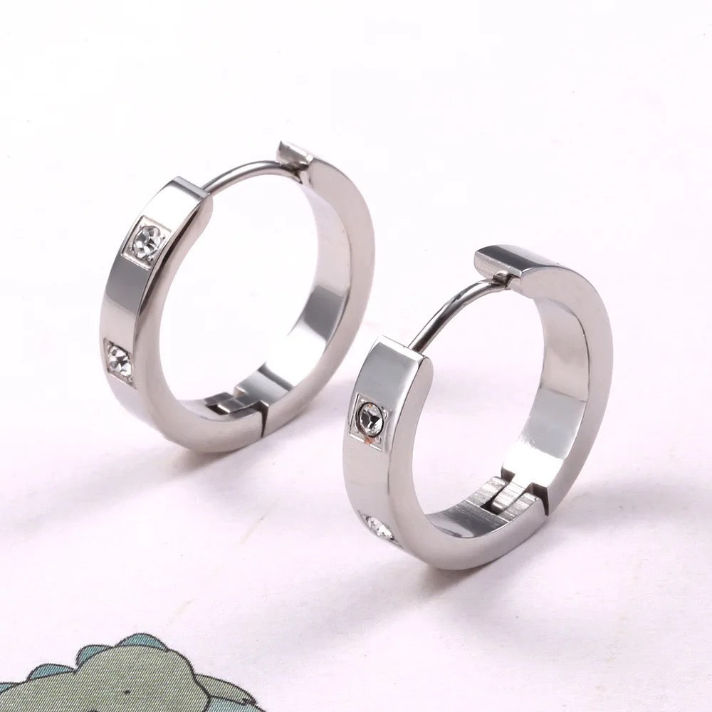 Stålörhängen med CZ 20MM