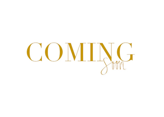 Stålarmband med 18K förgyllning och CZ 6MM