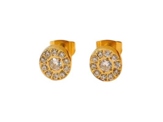 Stålörhängen med 18K förgyllning och CZ 8MM