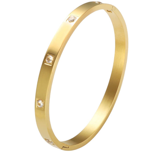 Stålarmband med 18K förgyllning och CZ 6MM