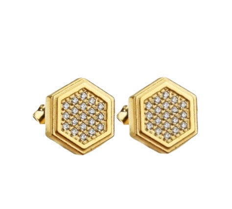 Stålörhängen med 18K förgyllning och CZ