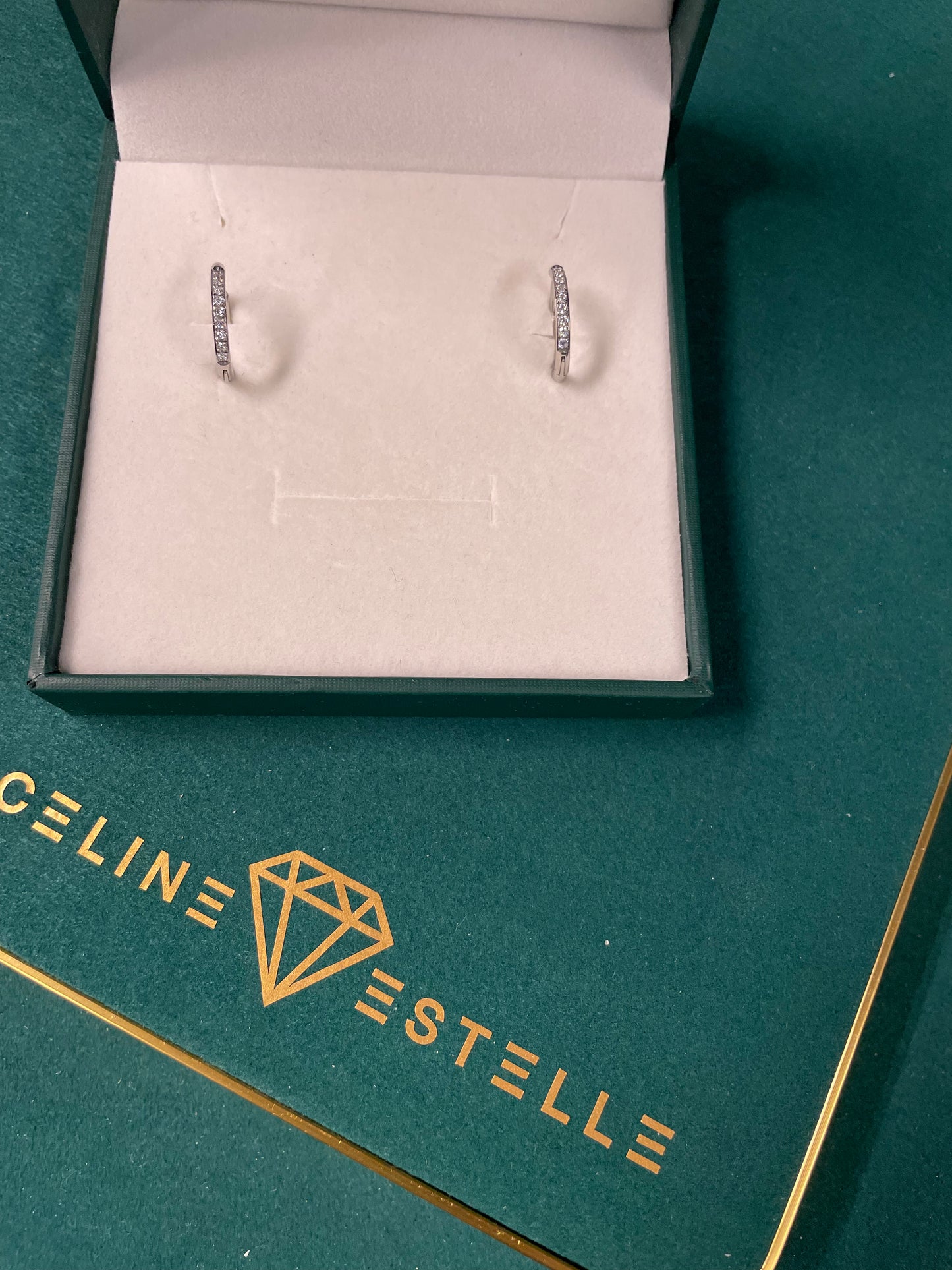 Stålörhängen med CZ 16MM / 2MM
