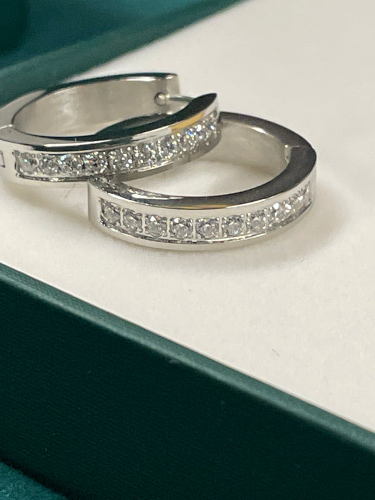 Stålörhängen med CZ 20MM