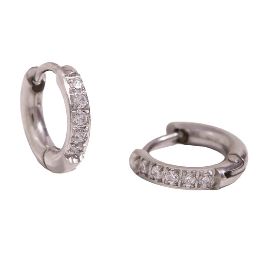 Stålörhängen med CZ 10MM / 2MM