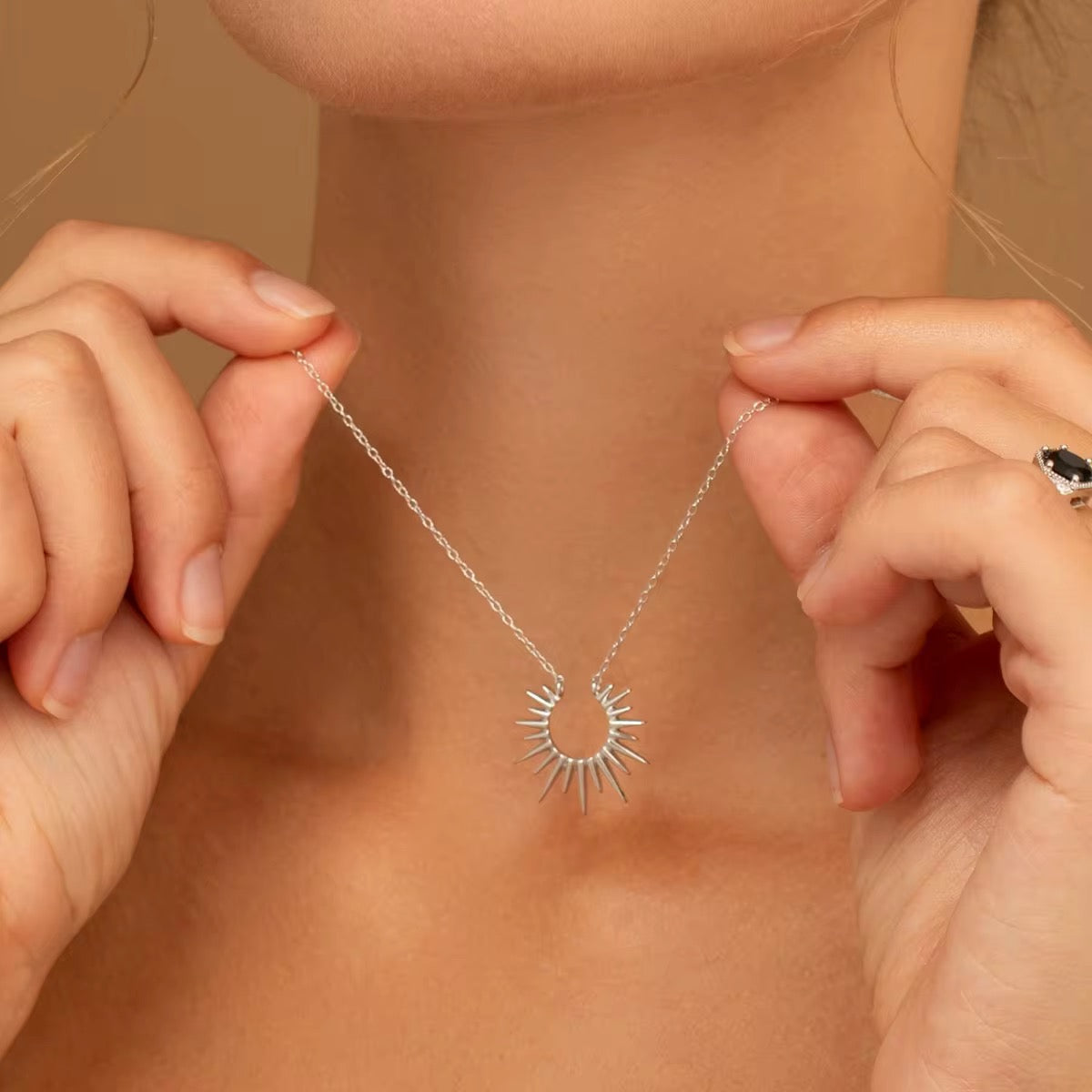 Stålhalsband 45+5 cm